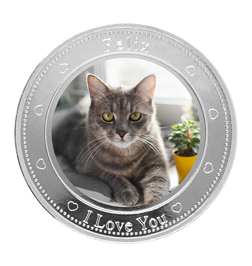 Banner Coin Image